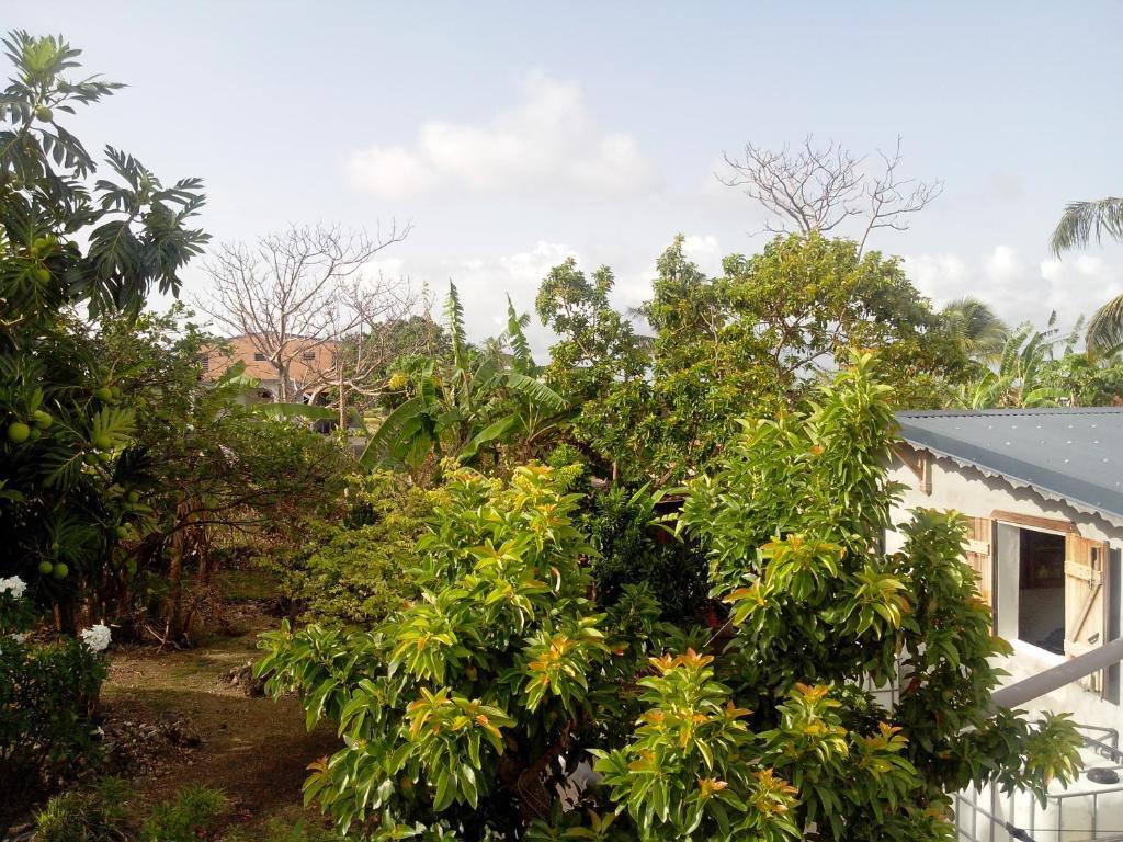 Maison Des Alizes Gros Cap 部屋 写真